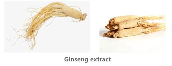 Ginsenoside Source