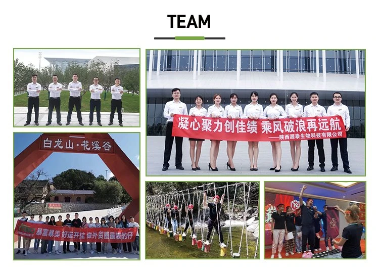 team2