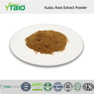 Kudzu 뿌리 추출물 분말