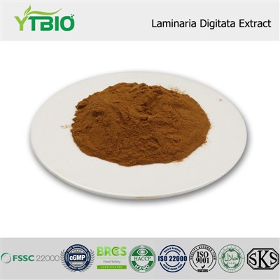 Laminaria Digitata 추출물