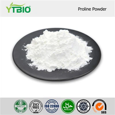프롤린 분말