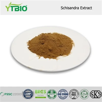 Schisandra 추출물